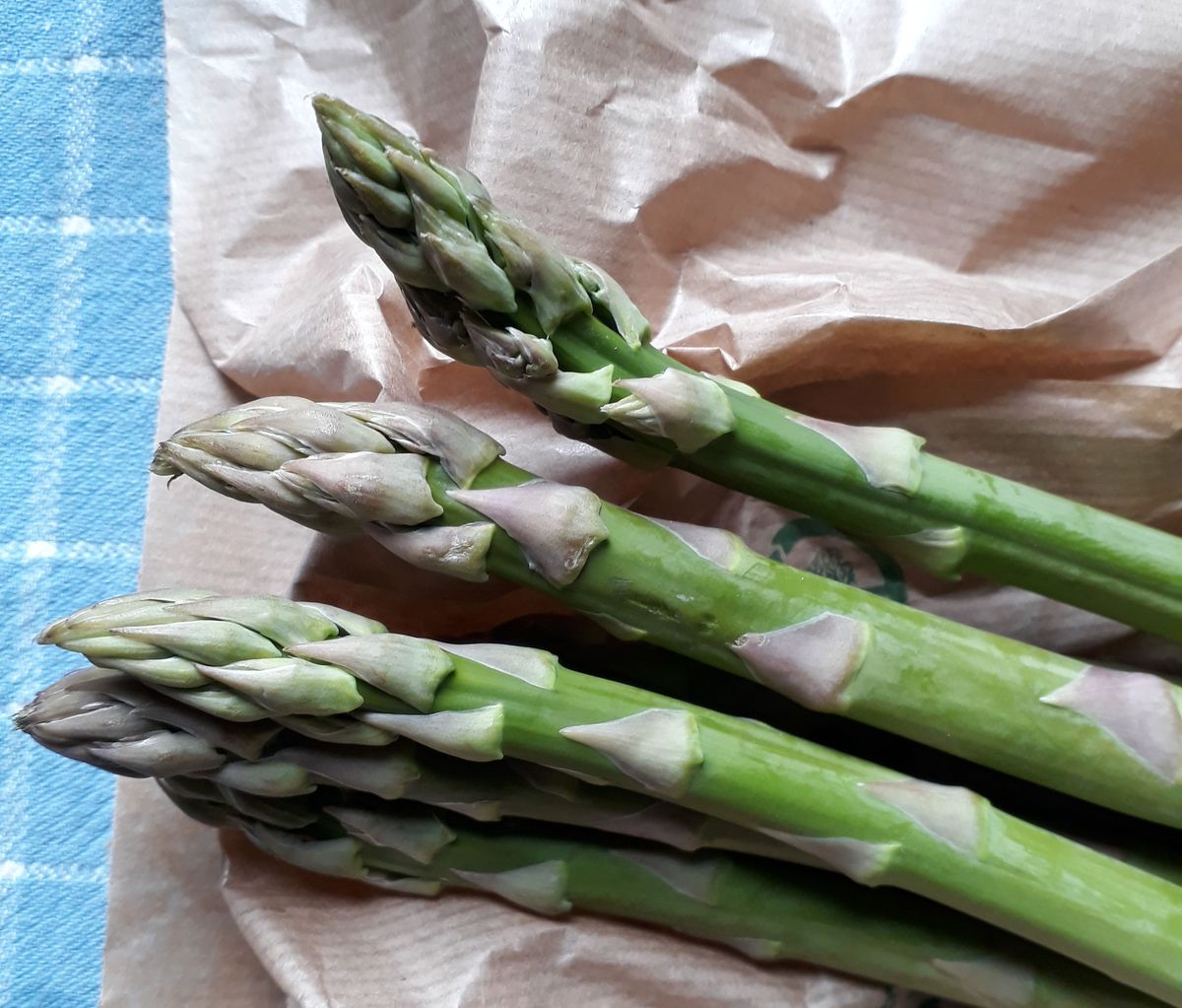 Asperges